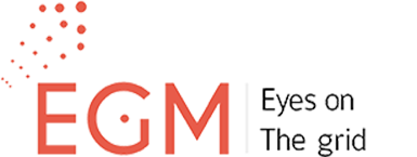 Electric Grid Monitoring logo
